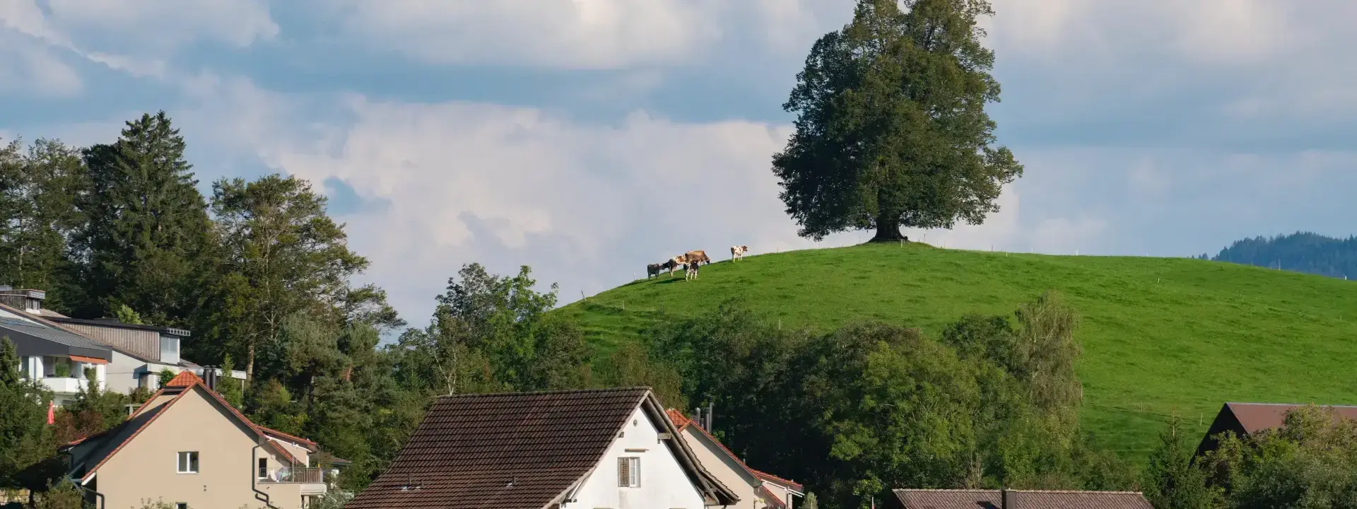 Gig Workers in Switzerland