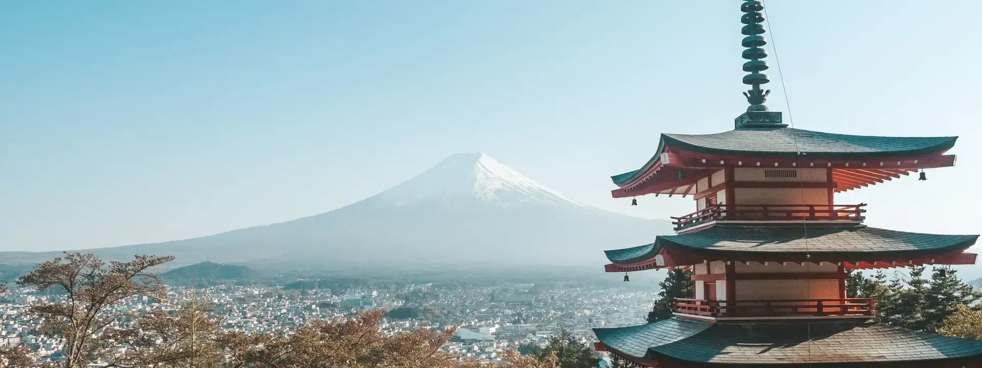 Job Hunters in Japan