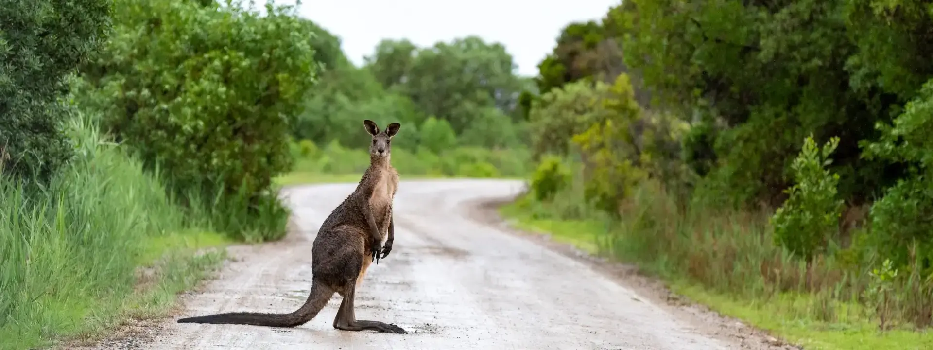 Moving to in Australia in 2025