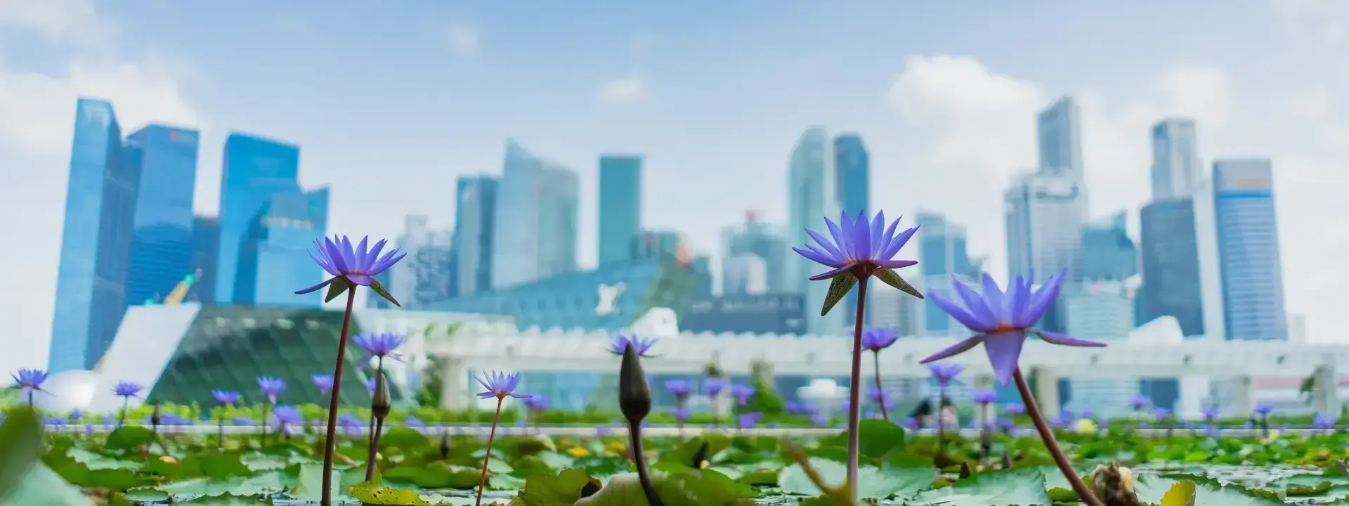Moving to in Singapore in 2025