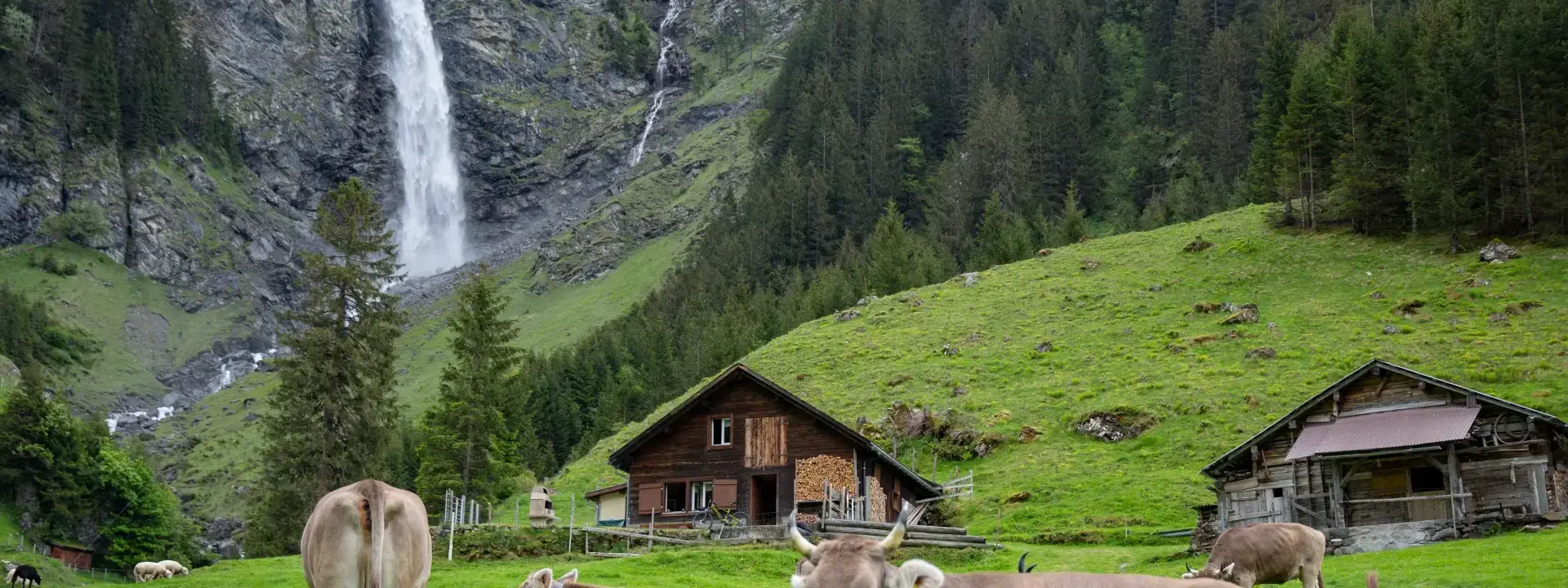 Moving to in Switzerland in 2025