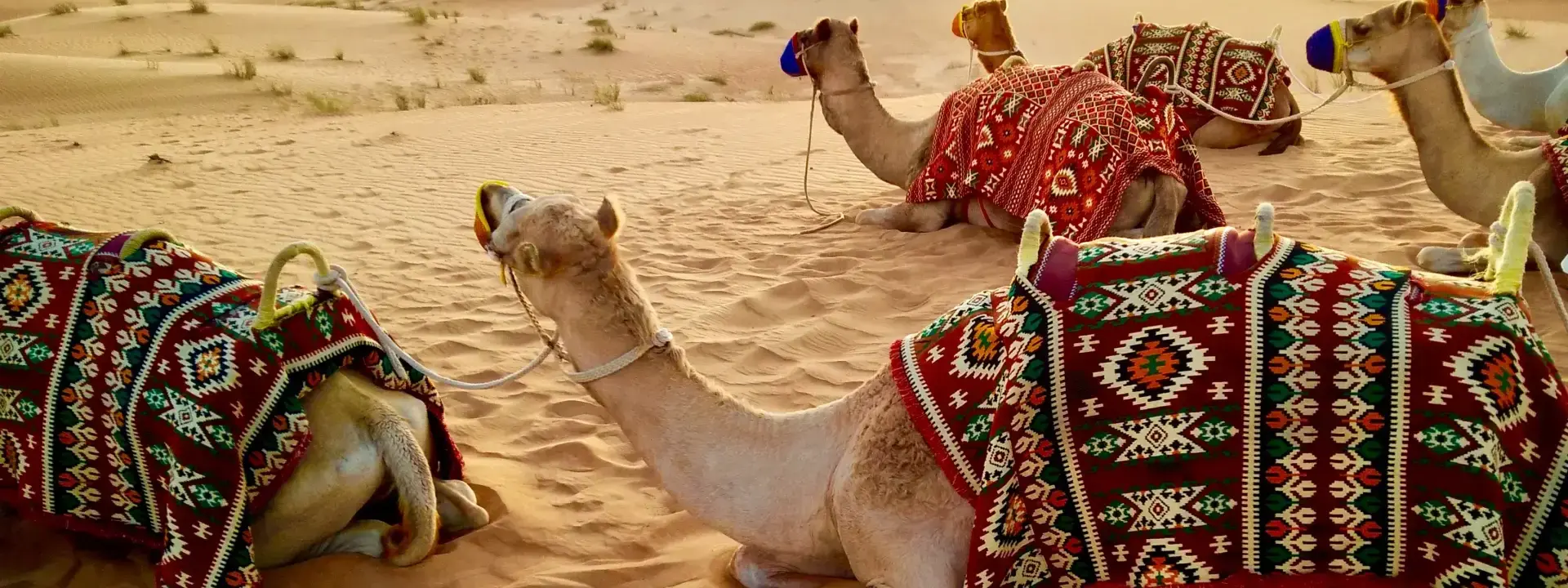 Moving to in United Arab Emirates in 2025