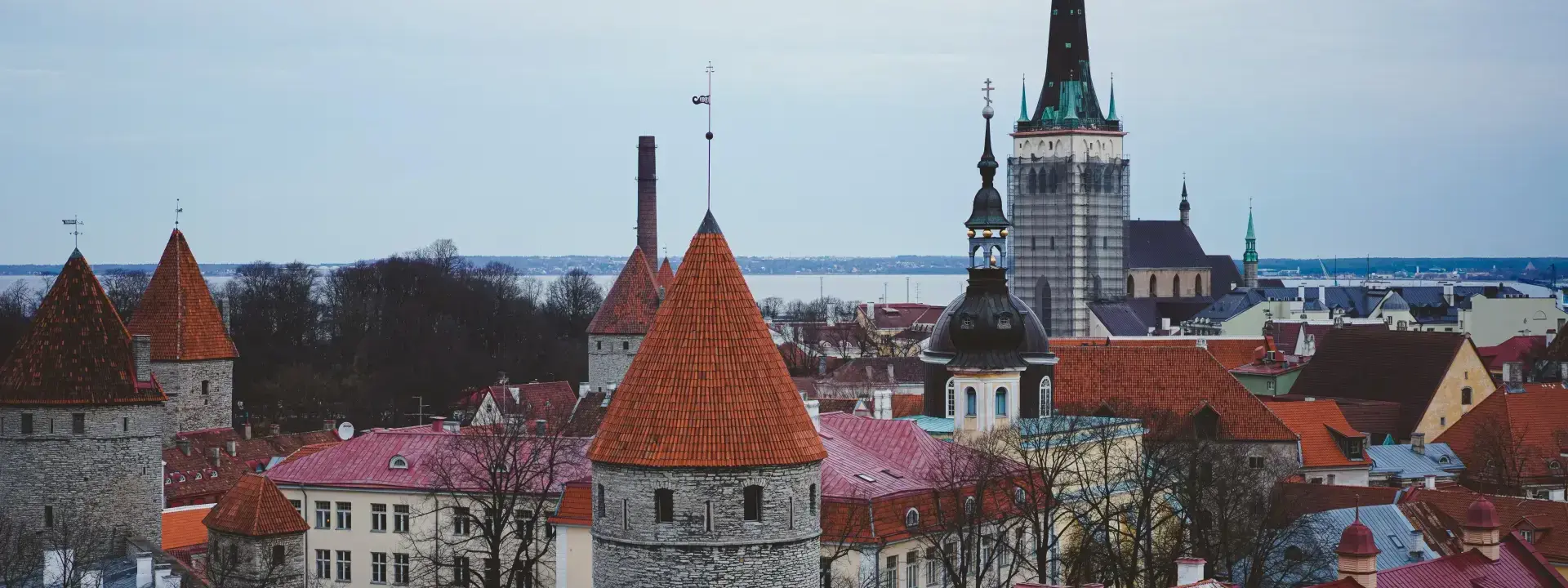 Volunteers in Estonia