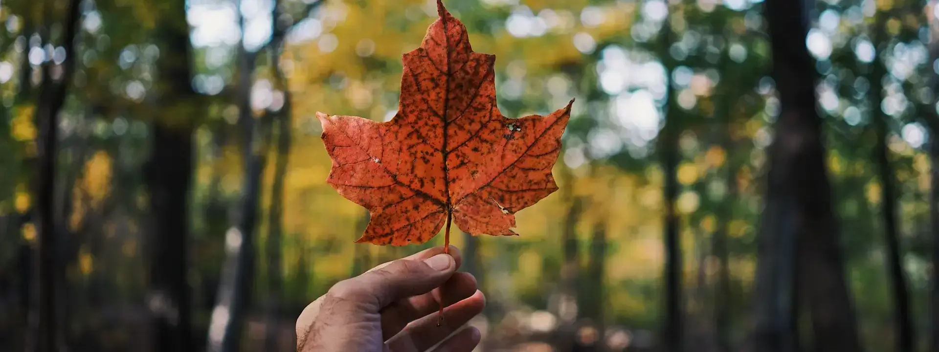 Canada 2026 Job Market Report