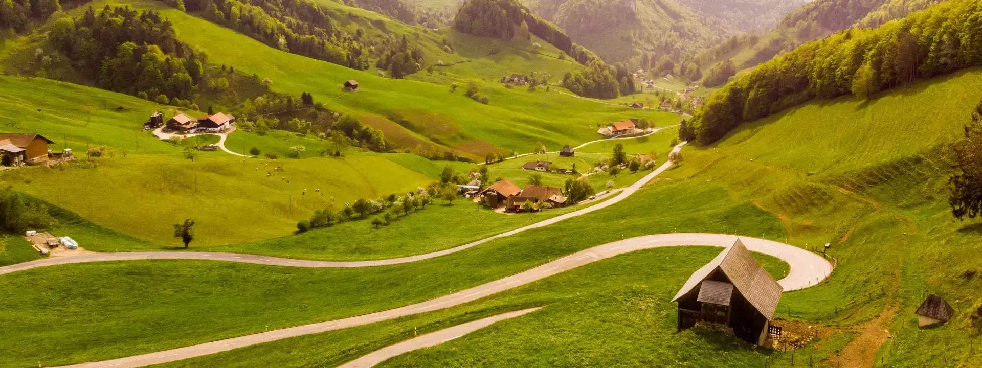 Self Employment Market Report in Switzerland (2025)