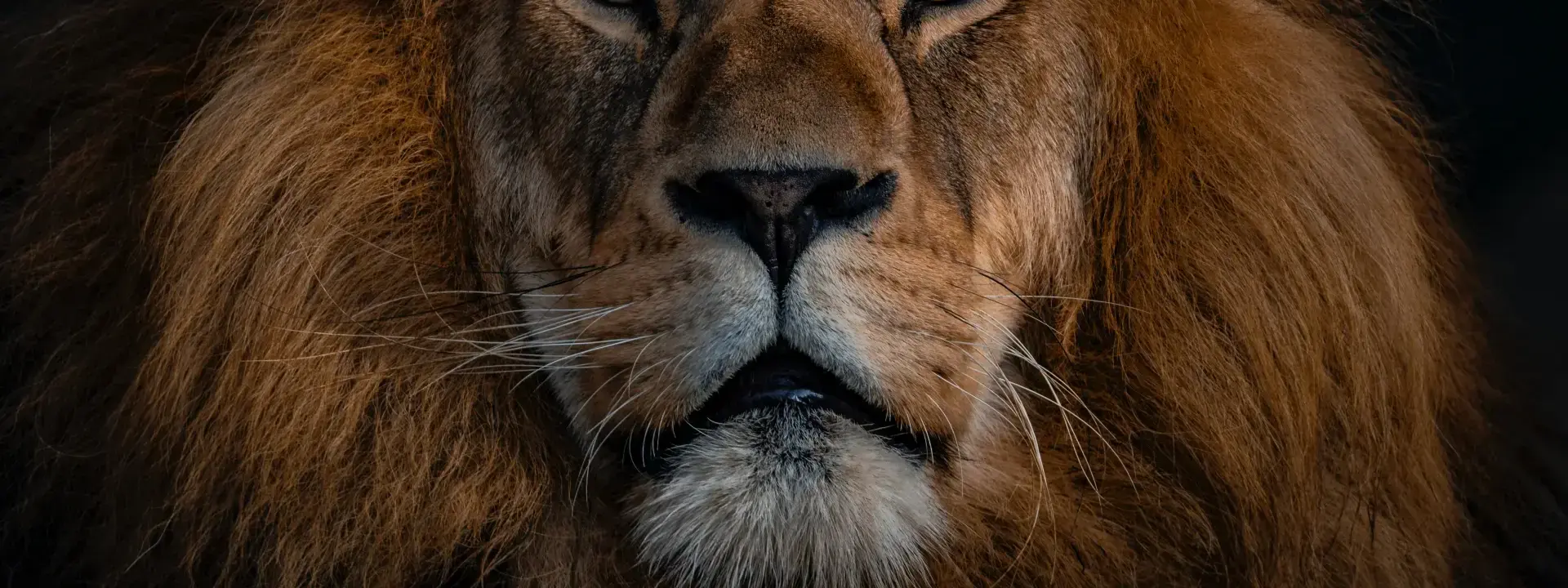 Embracing Disruptive Leadership: A Paradigm Shift in the Corporate Landscape