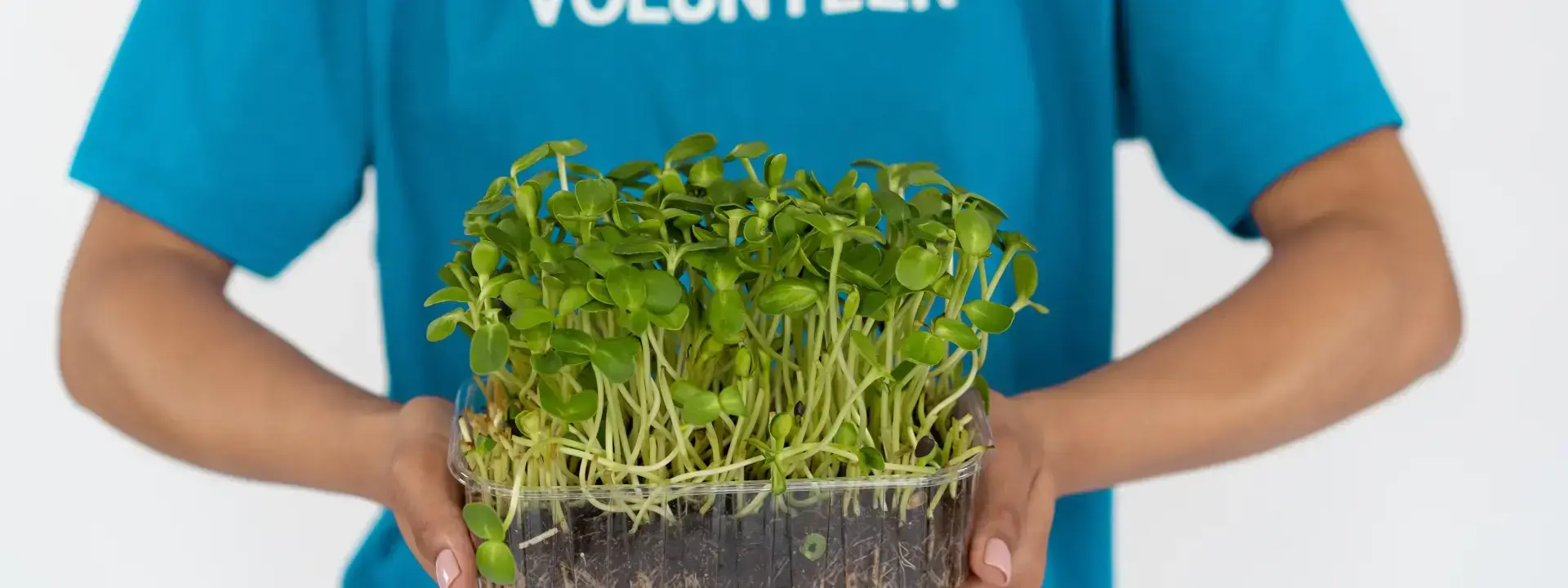 The Joy of Volunteering: Enhancing Festivals and Events