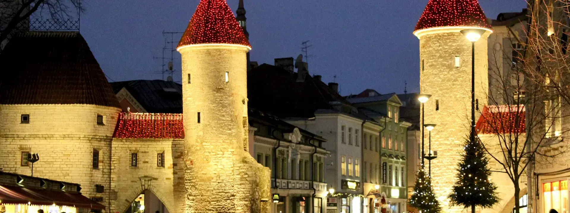 Ultimate Guide to Freelancing in Estonia in 2025
