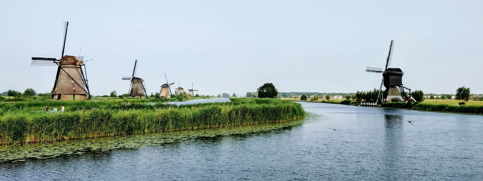 Ultimate Guide to Freelancing in Netherlands in 2025
