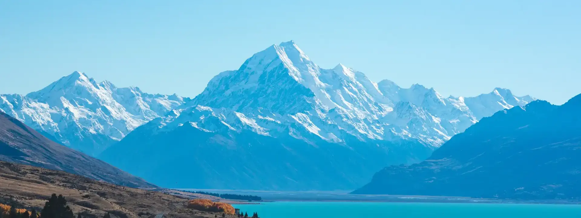 Ultimate Guide to Freelancing in New Zealand in 2025