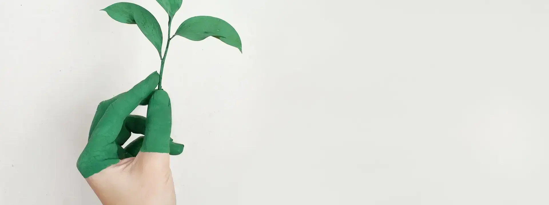 Green Jobs: Paving the Way to a Sustainable Future