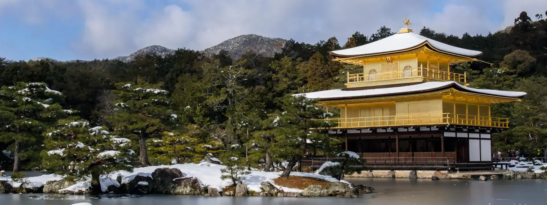 Self Employment Market Report in Japan (2026)