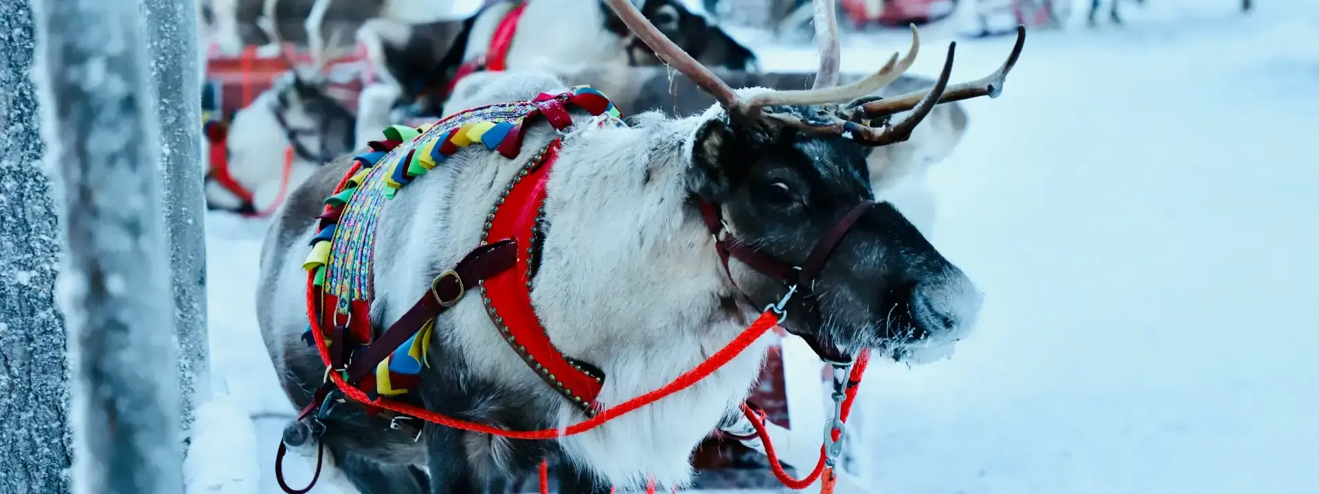 Lapland Finland