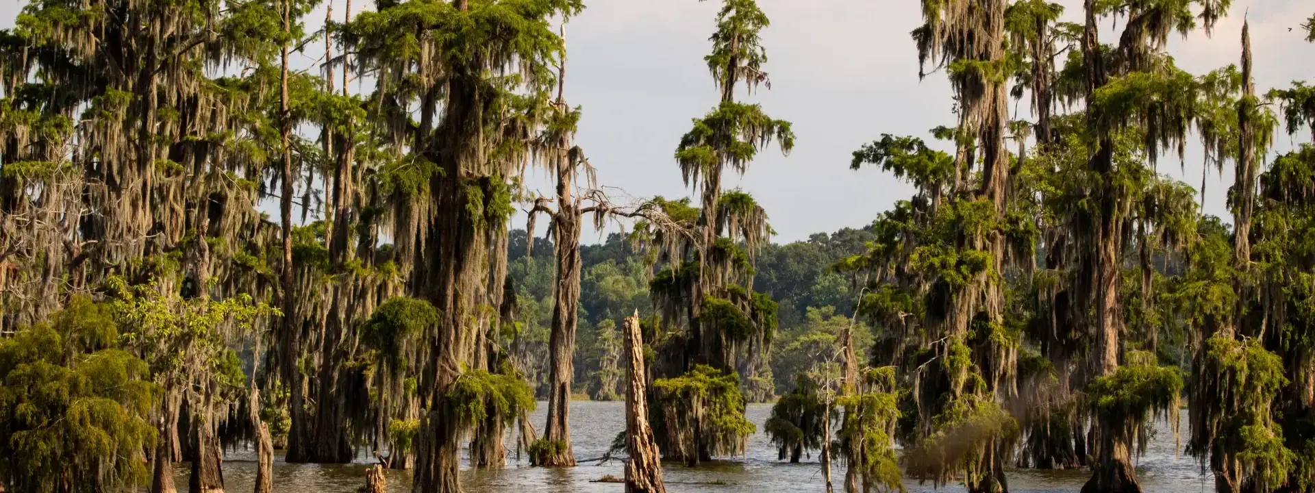 Louisiana United States of America