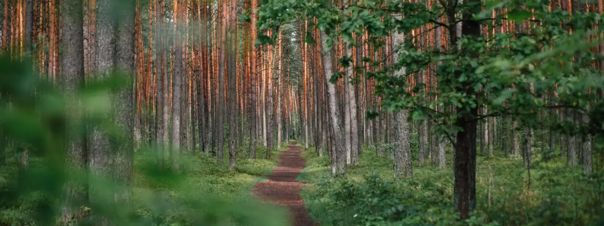 Marijampole Lithuania