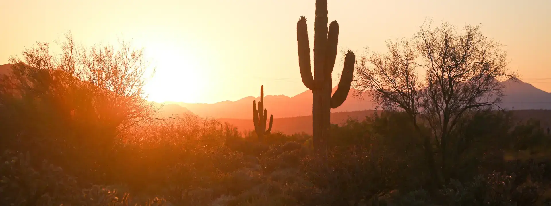 Phoenix United States of America