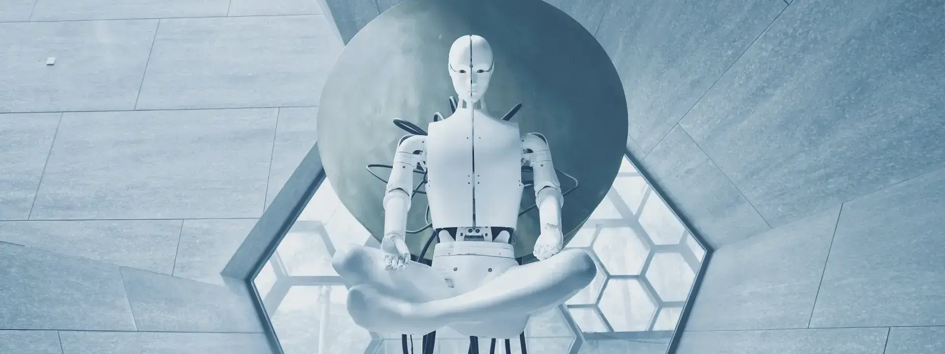 The Future of Work and Robotics: Transforming Industries and Redefining Human Potential