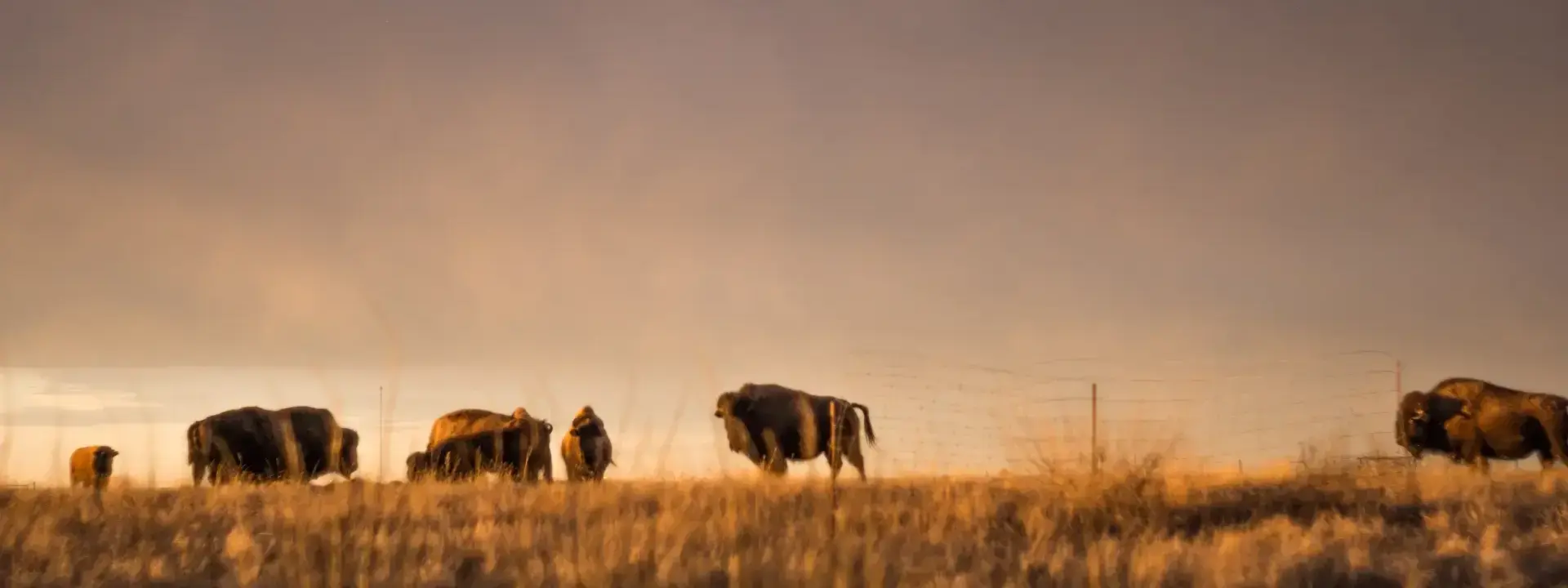 Saskatchewan Canada