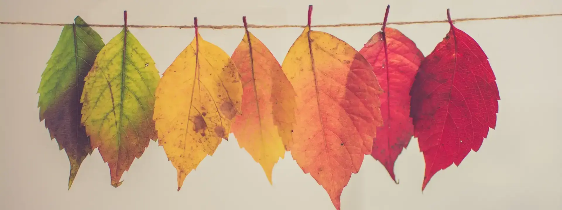 The Rhythm of Seasonal Work: Importance, Workers, and Impact