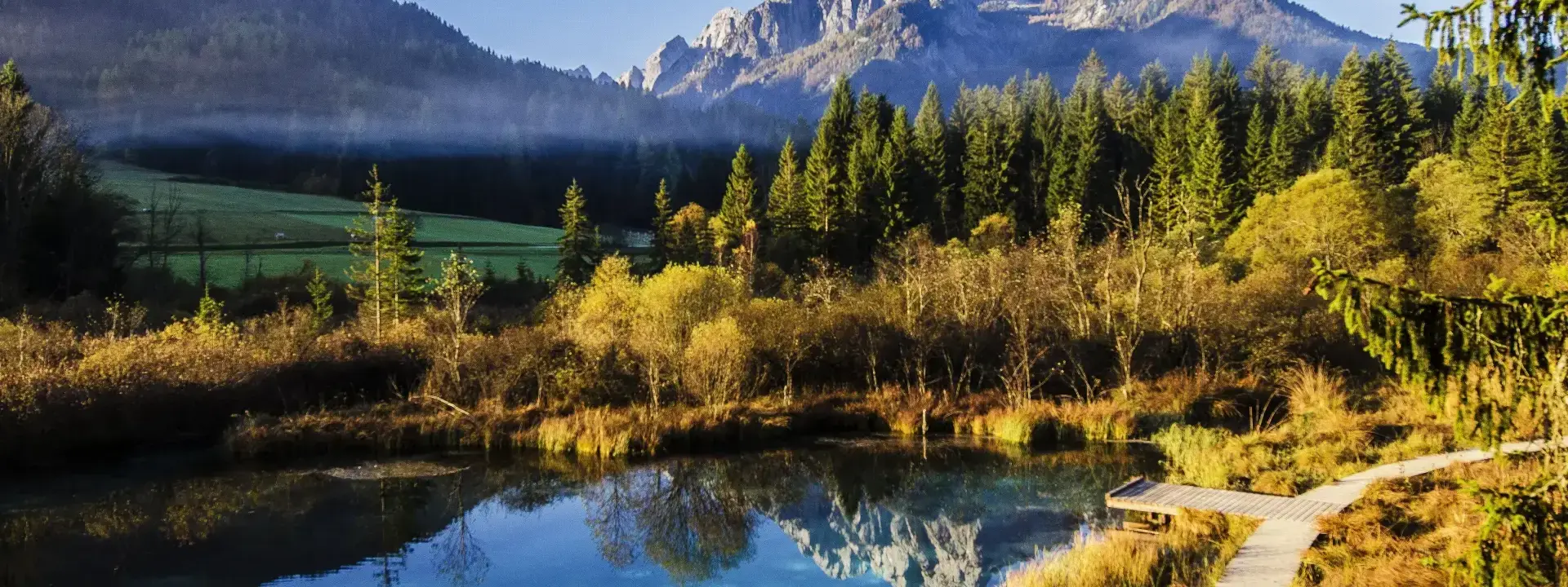 Slovenia 2026 Job Market Report