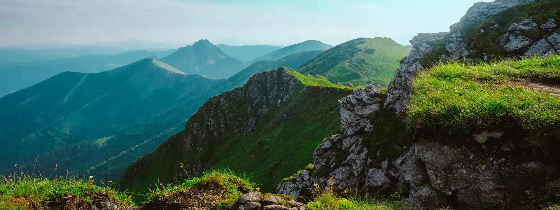 Self Employment Market Report in Slovakia (2026)