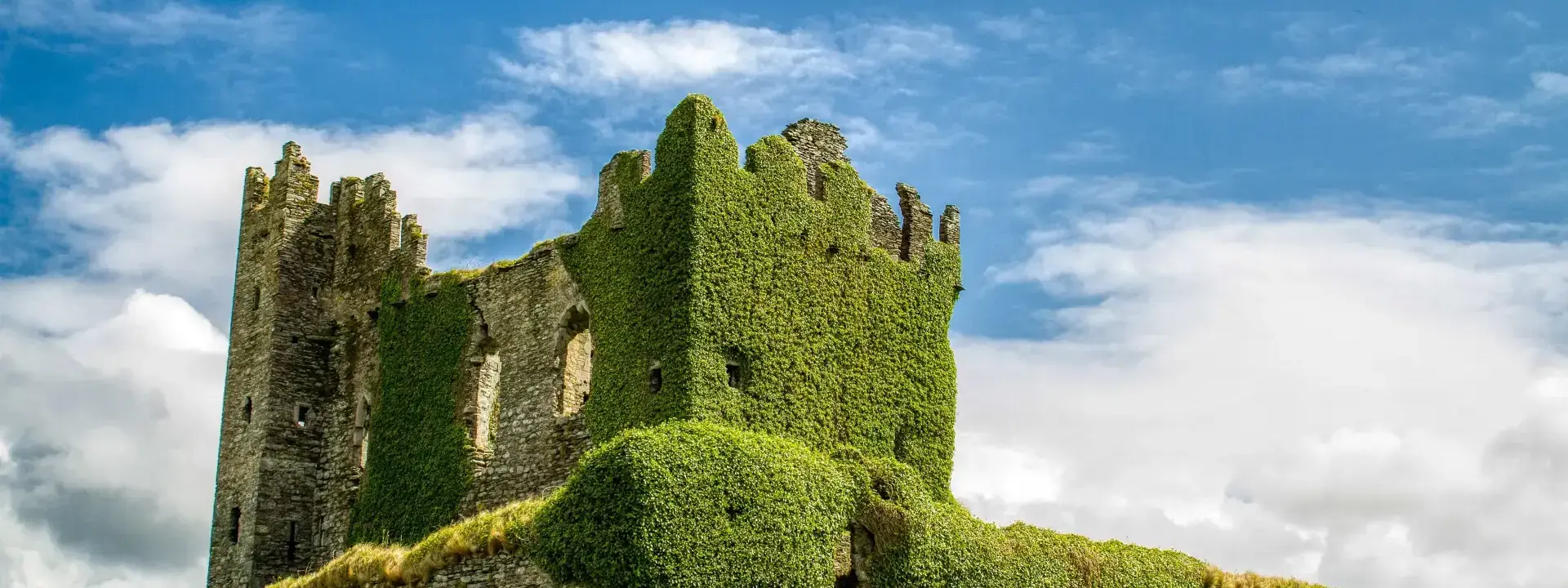 Volunteering in Ireland: A Unique Experience of Giving Back