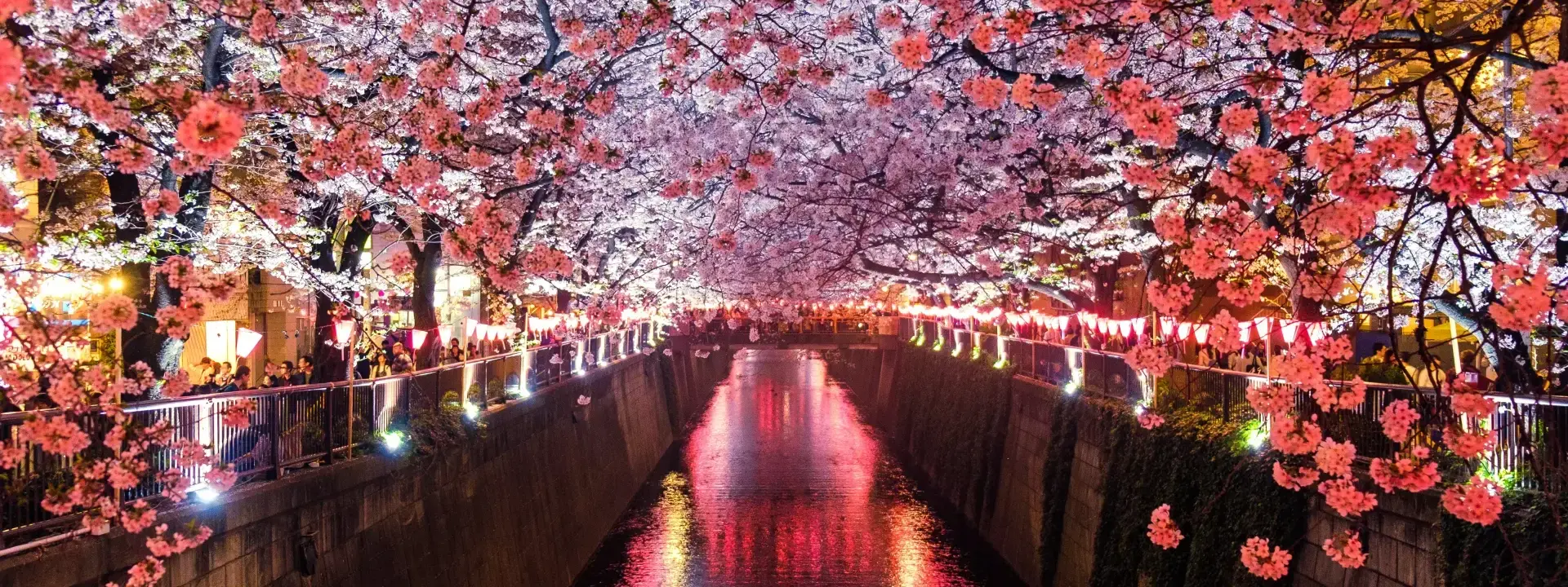 Volunteering in Japan: A Journey of Harmony and Giving