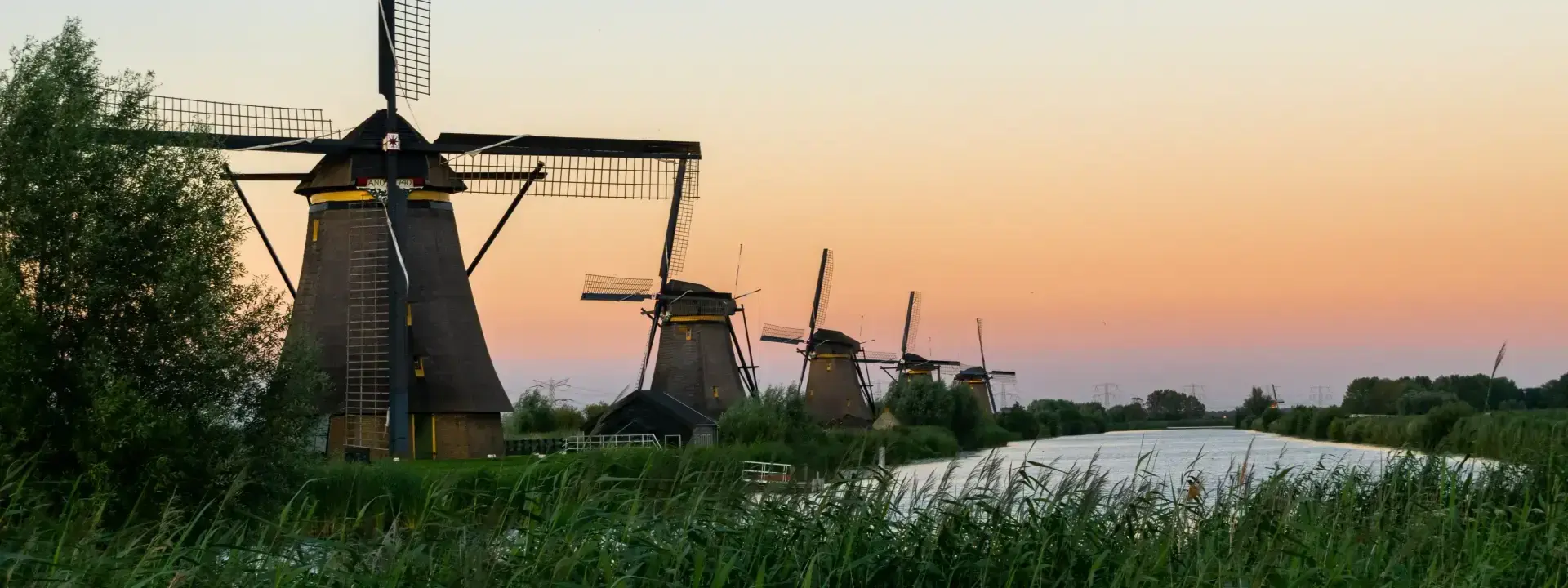 Exploring the Unique World of Volunteering in the Netherlands