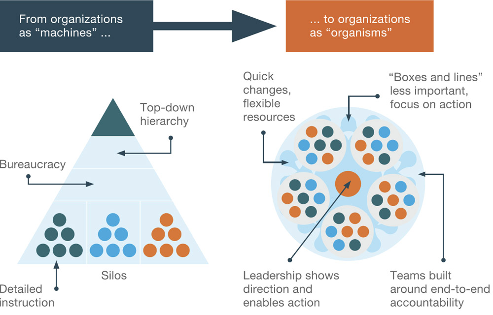 Organisations to Organisms