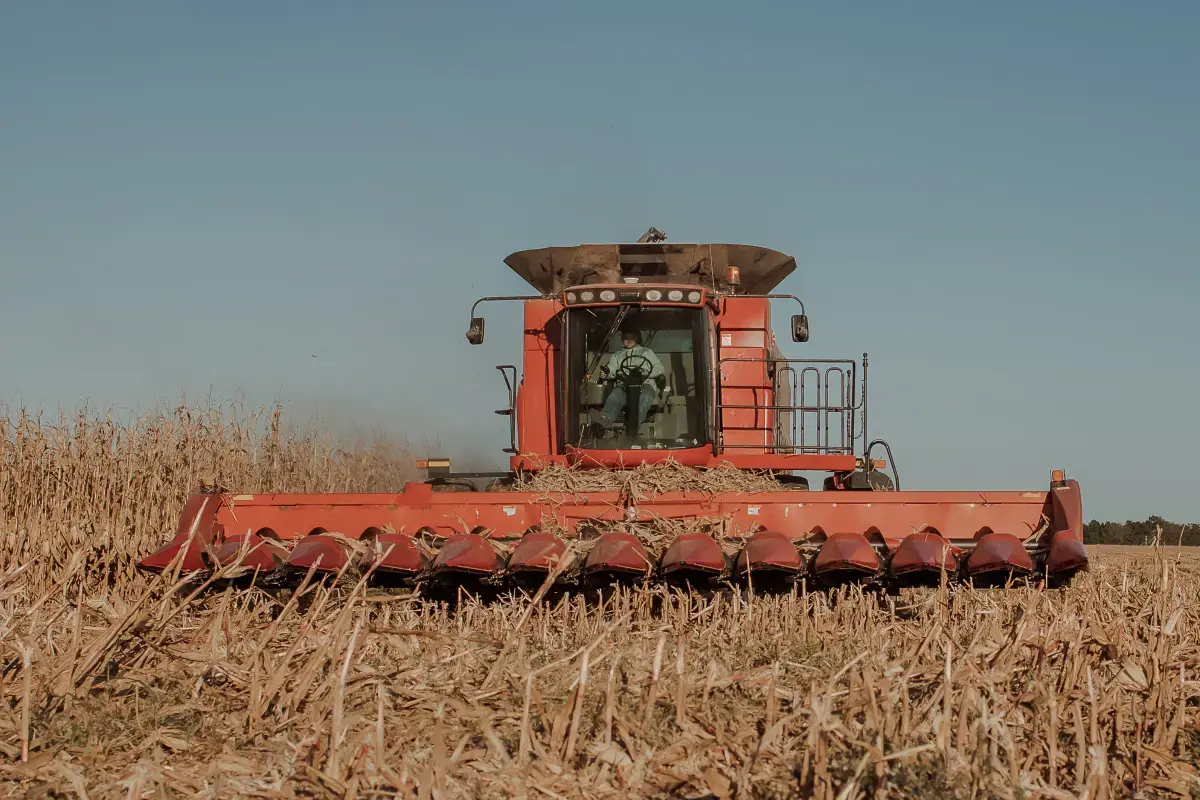 Working Conditions of a Agriculture?