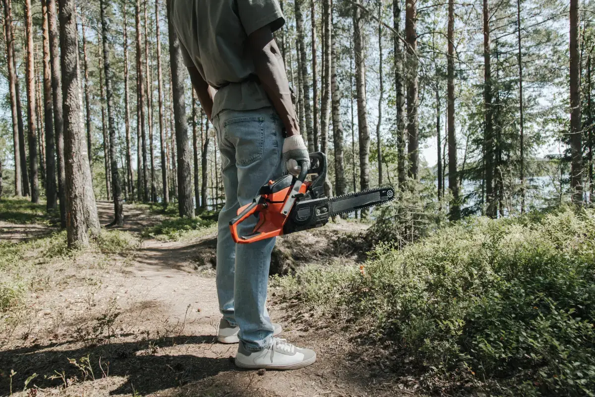 Working Conditions of a Arborist?