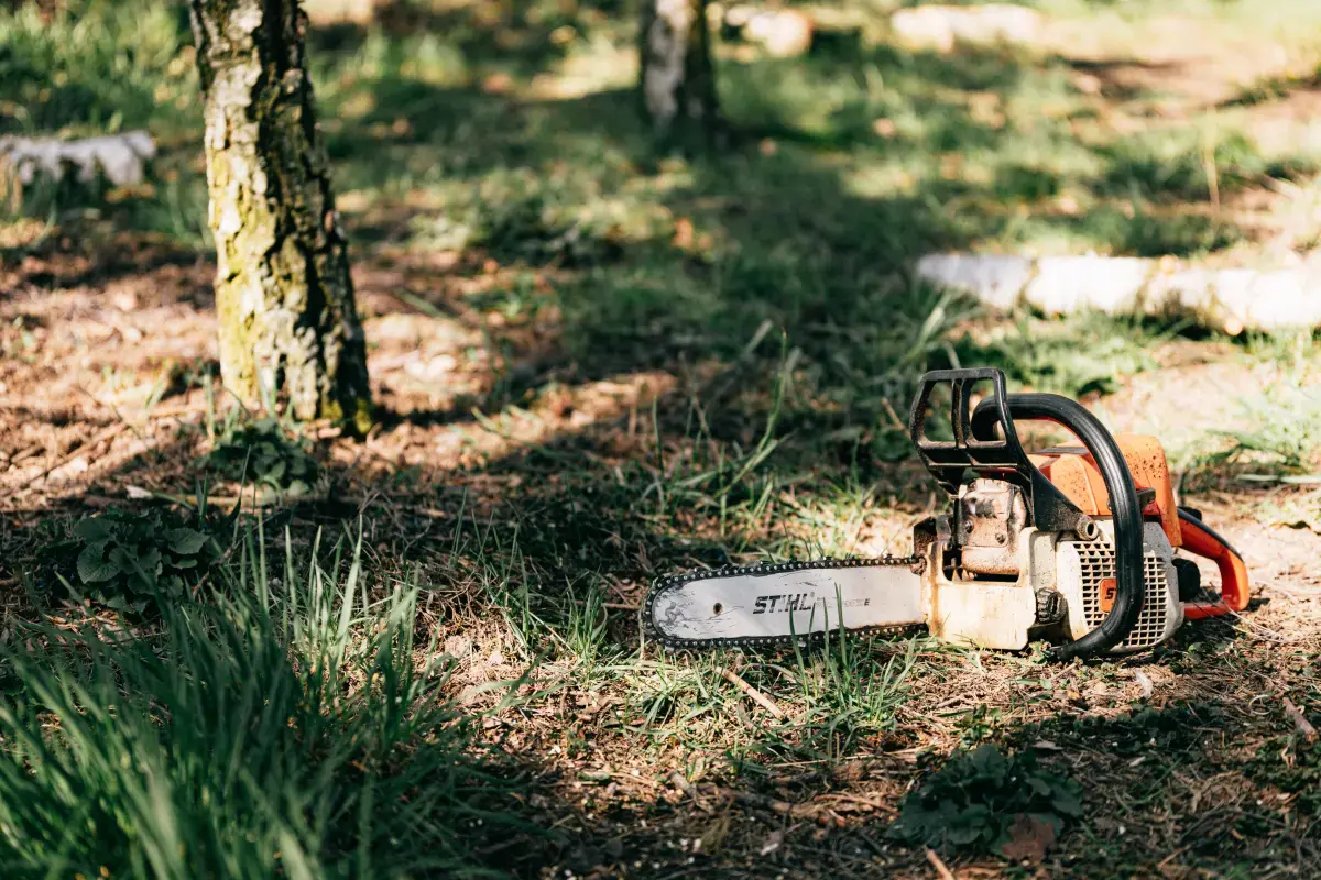 Arborist