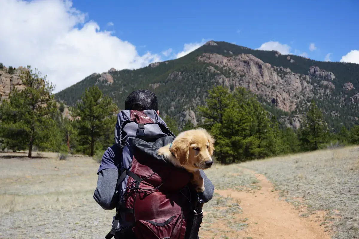Funding your Travel, the transition from Backpacker to Digital Nomad Image3