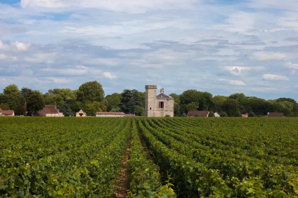 Bourgogne Franche Comte Services