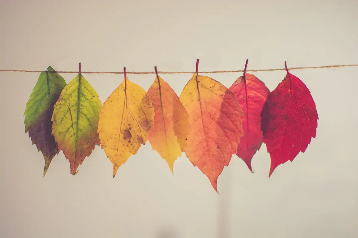 The Career Pivot: Unveiling the Path to Professional Transformation Image2