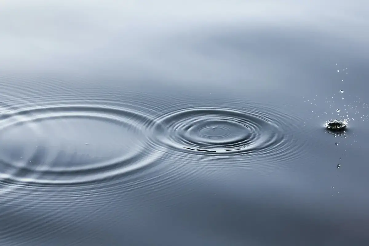 The Career Pivot: Unveiling the Path to Professional Transformation Image3