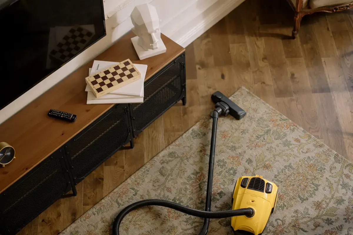 What is a Carpet Cleaner?