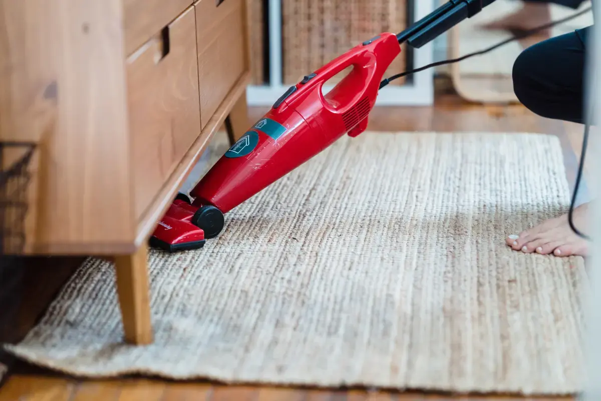 What is a Carpet Cleaner?