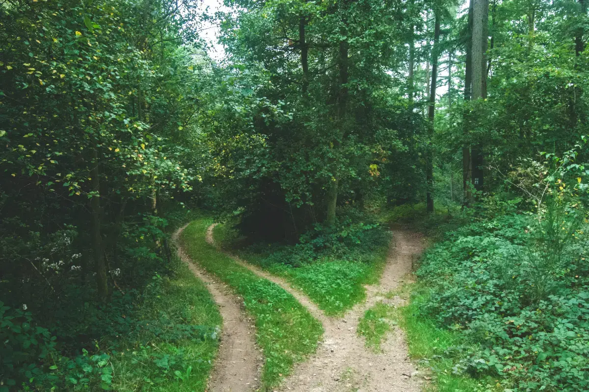 The Art of Decision Making in the Workforce Image2