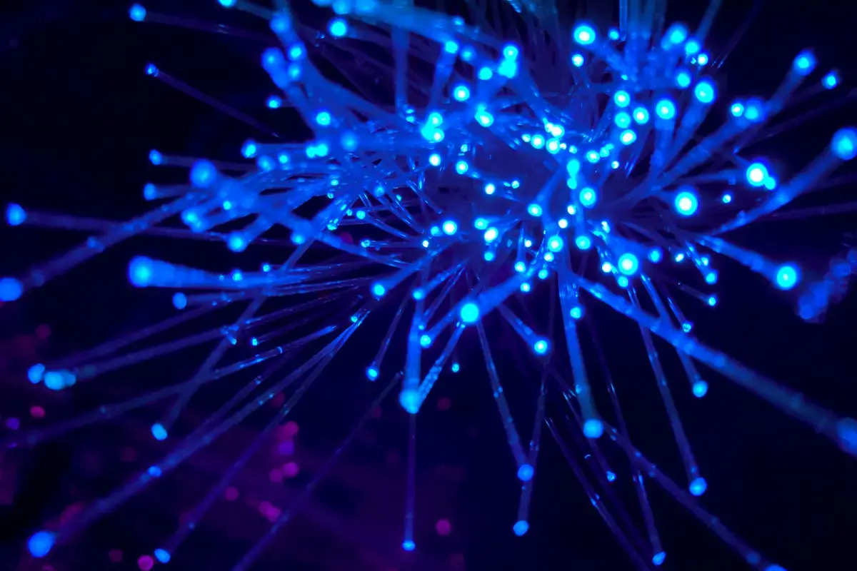 Embracing Digital Transformation: The Key to Small Businesses' Success in the Future Image6