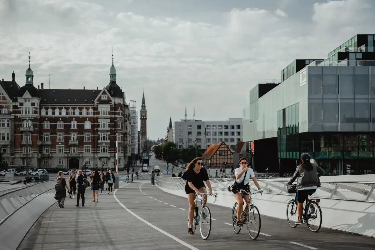Denmark 2026 Job Market Report Image9