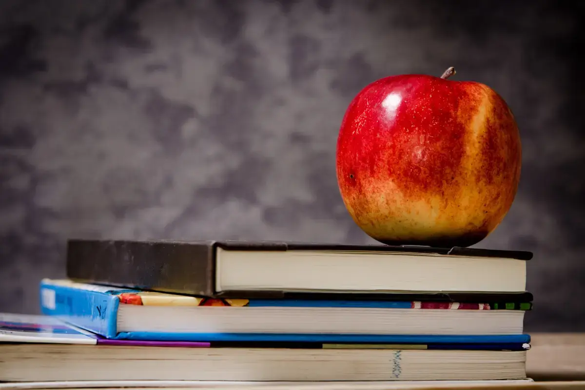 What is an expert Relief Teacher?