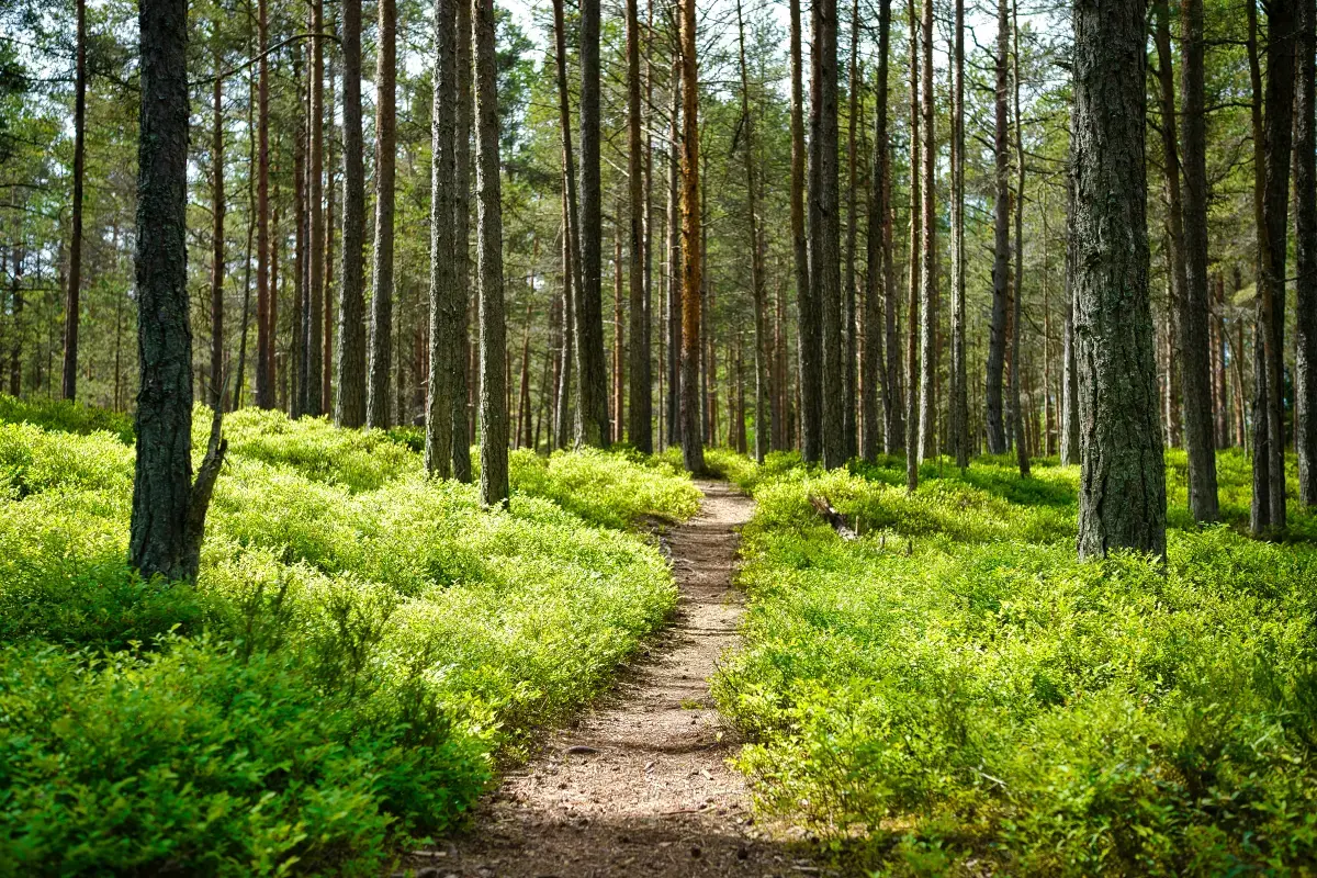 Estonia 2026 Job Market Report Image10