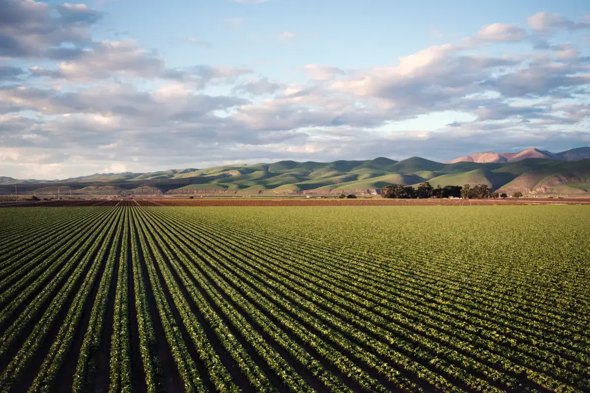 What is an expert Farm Hand?