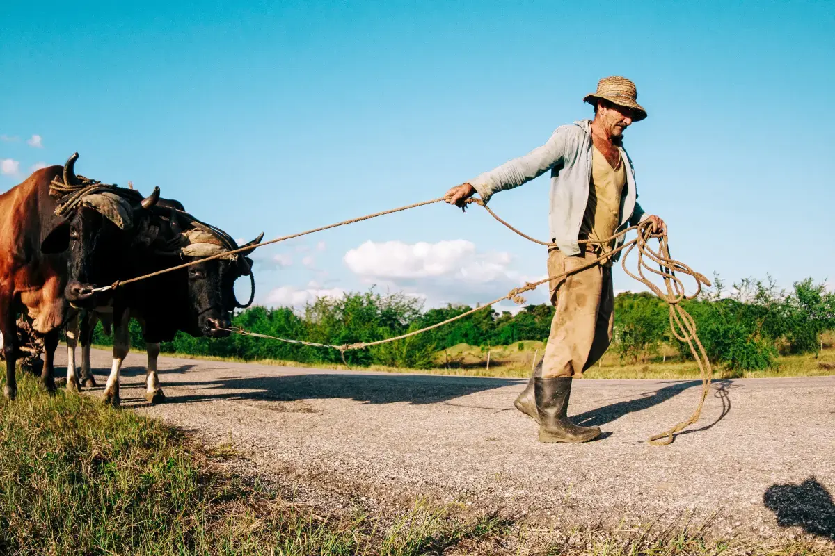 What is a Farmer?