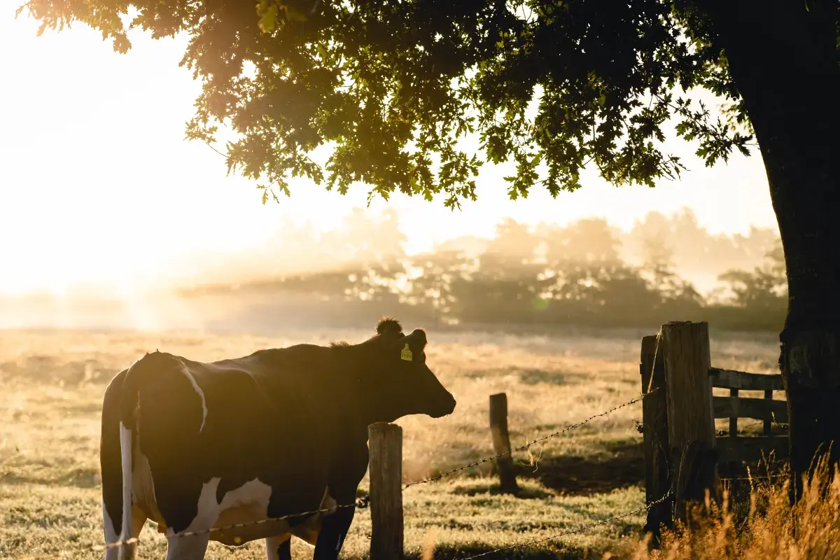 Find Farmer jobs