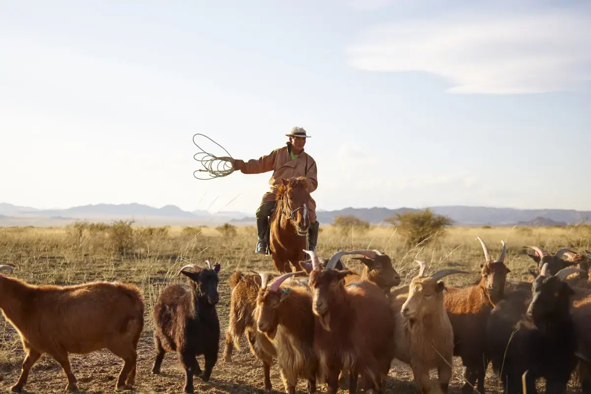 Farmer