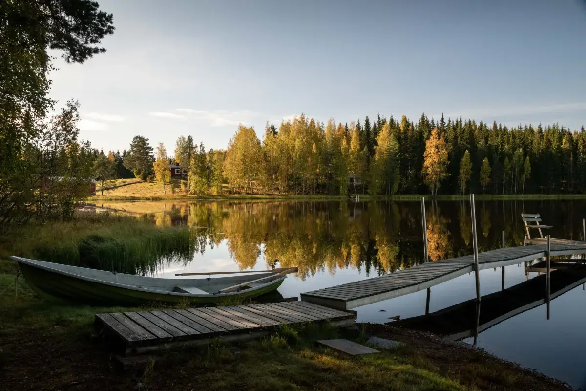 Self-Employment Market Report in Finland (2026) Image2