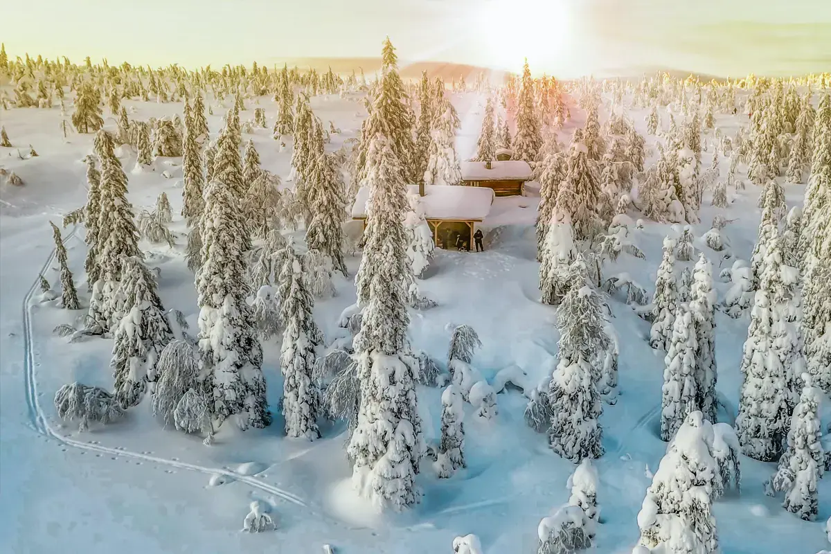 Self-Employment Market Report in Finland (2026) Image4
