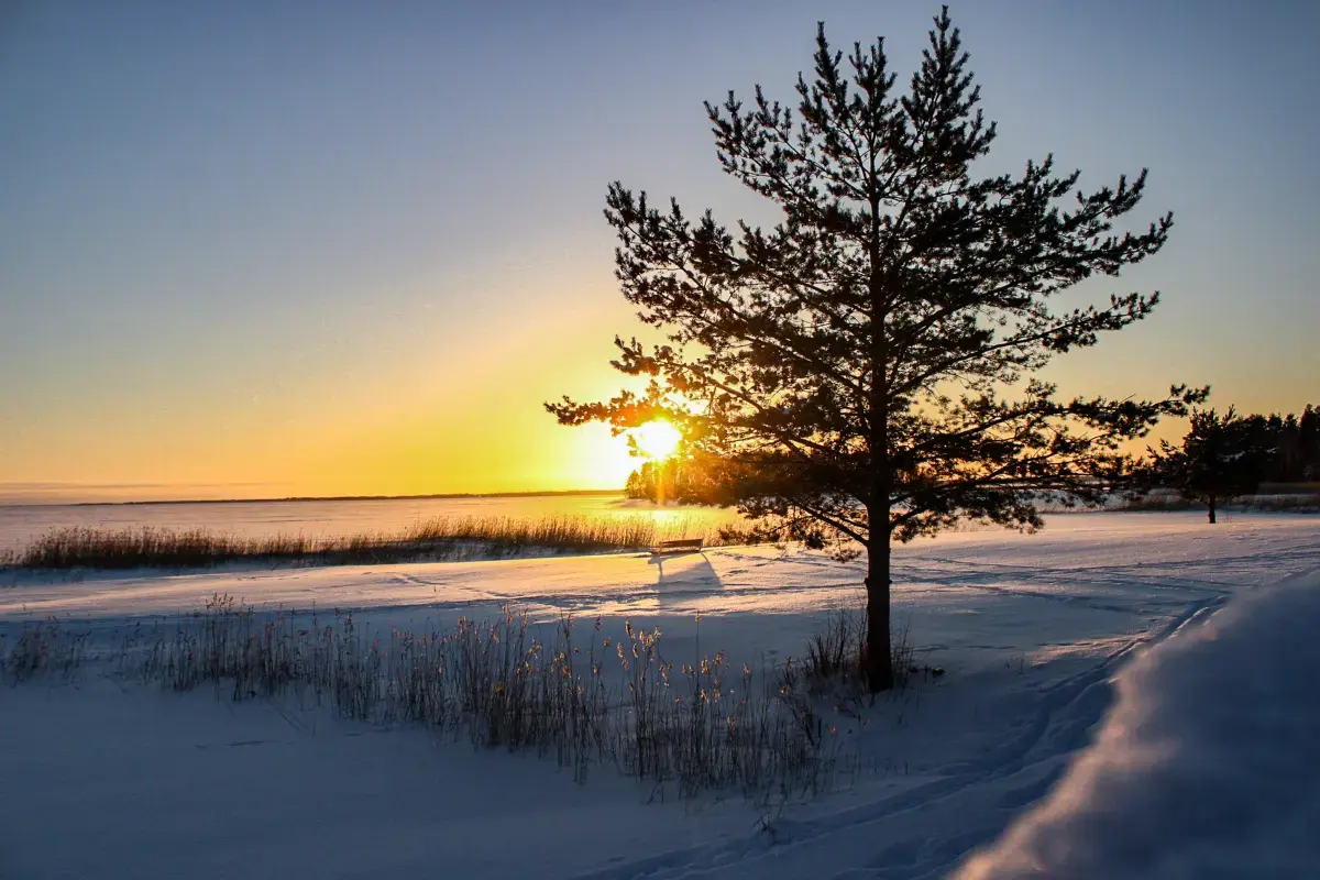 Self-Employment Market Report in Finland (2026) Image5